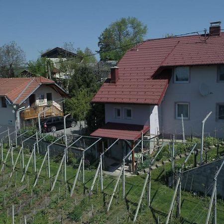 Apartment House Sumrak Bizeljsko Εξωτερικό φωτογραφία
