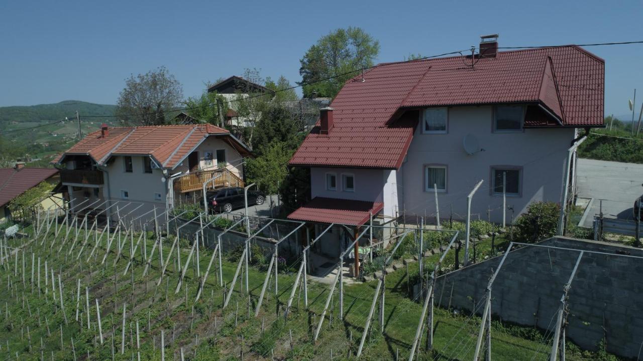 Apartment House Sumrak Bizeljsko Εξωτερικό φωτογραφία