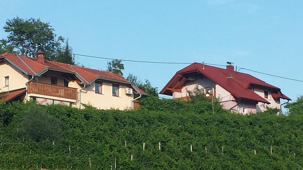 Apartment House Sumrak Bizeljsko Εξωτερικό φωτογραφία